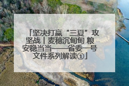 坚决打赢“三夏”攻坚战丨麦穗沉甸甸 粮安稳当当——省委一号文件系列解读①