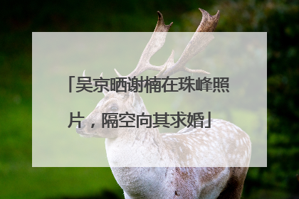 吴京晒谢楠在珠峰照片，隔空向其求婚