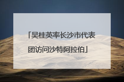 吴桂英率长沙市代表团访问沙特阿拉伯