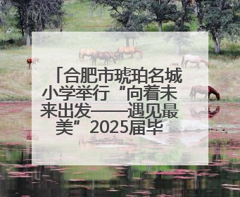 合肥市琥珀名城小学举行“向着未来出发——遇见最美”2025届毕业典礼