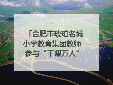 合肥市琥珀名城小学教育集团教师参与“千课万人”数学论坛活动