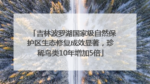 吉林波罗湖国家级自然保护区生态修复成效显著，珍稀鸟类10年增加5倍