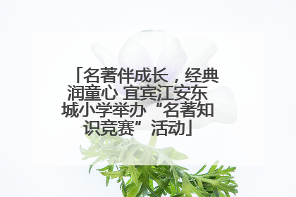 名著伴成长，经典润童心 宜宾江安东城小学举办“名著知识竞赛”活动
