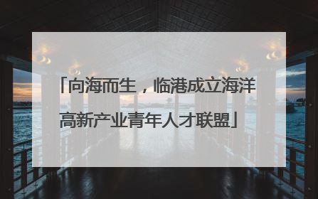 向海而生，临港成立海洋高新产业青年人才联盟