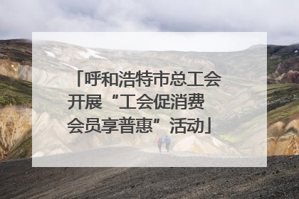 呼和浩特市总工会开展“工会促消费 会员享普惠”活动