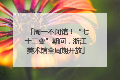 周一不闭馆！“七十二变”期间，浙江美术馆全周期开放