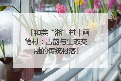 和美“湘”村｜画笔村：古韵与生态交融的传统村落