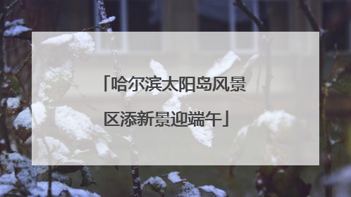 哈尔滨太阳岛风景区添新景迎端午