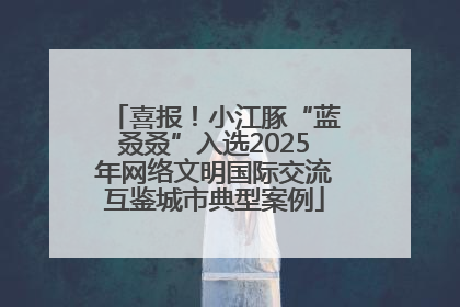 喜报！小江豚“蓝叒叒”入选2025年网络文明国际交流互鉴城市典型案例