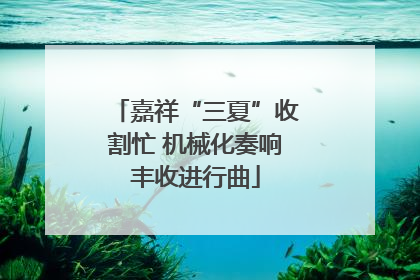 嘉祥“三夏”收割忙 机械化奏响丰收进行曲