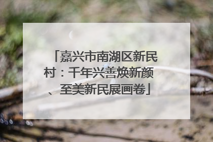 嘉兴市南湖区新民村：千年兴善焕新颜、至美新民展画卷