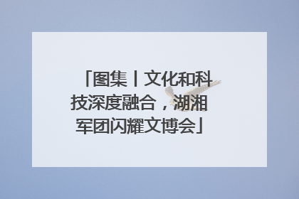 图集丨文化和科技深度融合，湖湘军团闪耀文博会