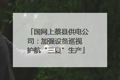 国网上蔡县供电公司：加强设备巡视 护航“三夏”生产