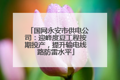 国网永安市供电公司：迎峰度夏工程按期投产，提升输电线路防雷水平