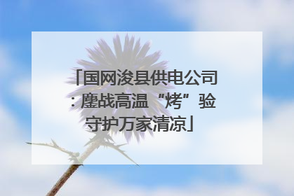 国网浚县供电公司：鏖战高温“烤”验 守护万家清凉