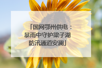 国网鄂州供电：暴雨中守护梁子湖防汛通道安澜