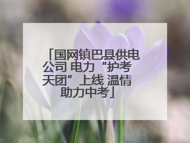 国网镇巴县供电公司 电力“护考天团”上线 温情助力中考
