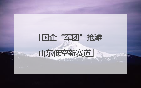 国企“军团”抢滩山东低空新赛道