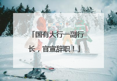 国有大行一副行长，官宣辞职！