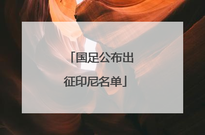 国足公布出征印尼名单