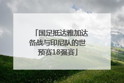 国足抵达雅加达备战与印尼队的世预赛18强赛