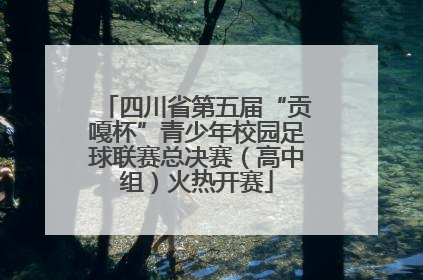 四川省第五届“贡嘎杯”青少年校园足球联赛总决赛（高中组）火热开赛