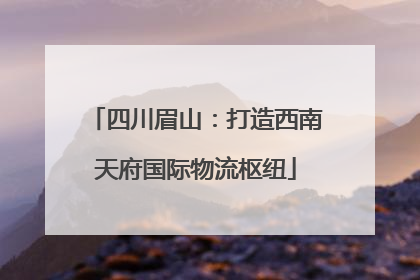 四川眉山：打造西南天府国际物流枢纽