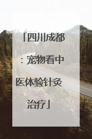 四川成都：宠物看中医体验针灸治疗