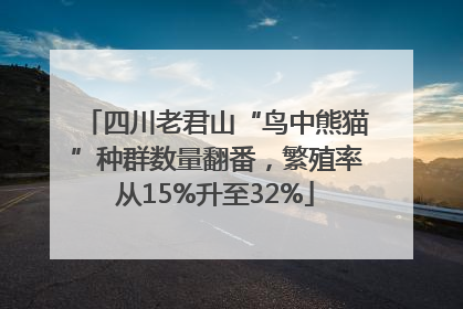 四川老君山“鸟中熊猫”种群数量翻番，繁殖率从15%升至32%