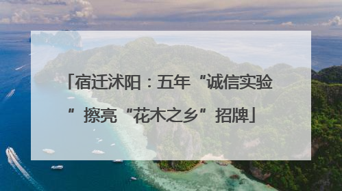 宿迁沭阳：五年“诚信实验”擦亮“花木之乡”招牌