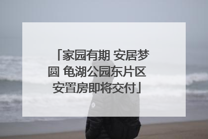 家园有期 安居梦圆 龟湖公园东片区安置房即将交付