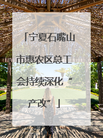 宁夏石嘴山市惠农区总工会持续深化“产改”
