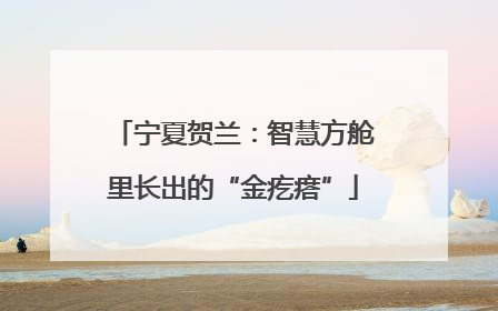 宁夏贺兰：智慧方舱里长出的“金疙瘩”