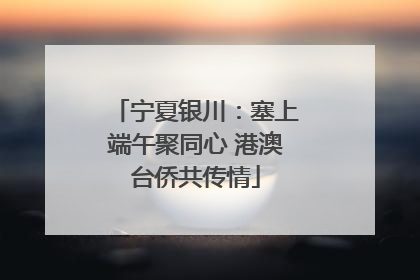 宁夏银川：塞上端午聚同心 港澳台侨共传情