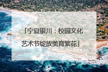 宁夏银川：校园文化艺术节绽放美育繁花