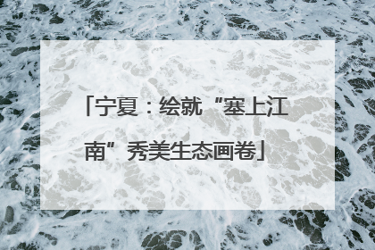 宁夏：绘就“塞上江南”秀美生态画卷