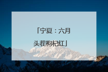 宁夏：六月头茬枸杞红