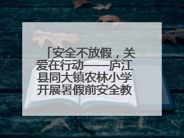 安全不放假，关爱在行动——庐江县同大镇农林小学开展暑假前安全教育大家访
