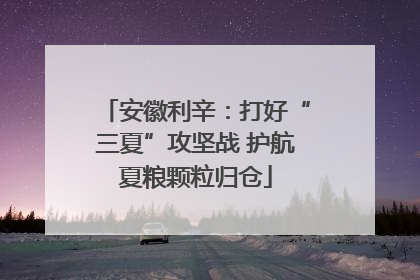 安徽利辛：打好“三夏”攻坚战 护航夏粮颗粒归仓