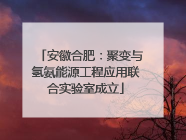 安徽合肥：聚变与氢氨能源工程应用联合实验室成立