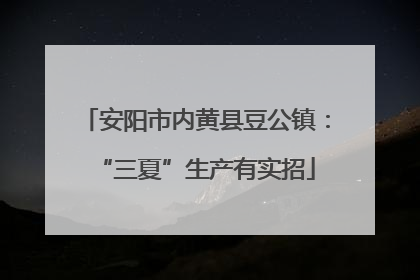 安阳市内黄县豆公镇：“三夏”生产有实招