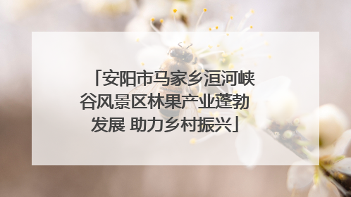 安阳市马家乡洹河峡谷风景区林果产业蓬勃发展 助力乡村振兴