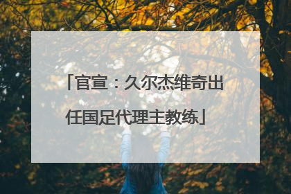 官宣：久尔杰维奇出任国足代理主教练
