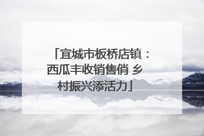 宜城市板桥店镇：西瓜丰收销售俏 乡村振兴添活力