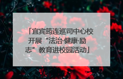宜宾筠连巡司中心校开展“法治·健康·励志”教育进校园活动