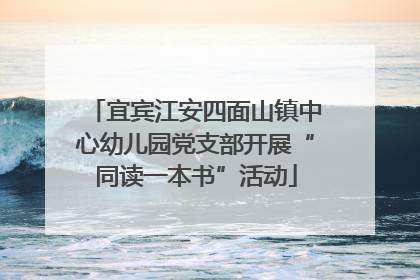 宜宾江安四面山镇中心幼儿园党支部开展“同读一本书”活动
