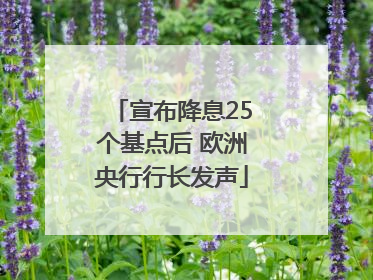 宣布降息25个基点后 欧洲央行行长发声