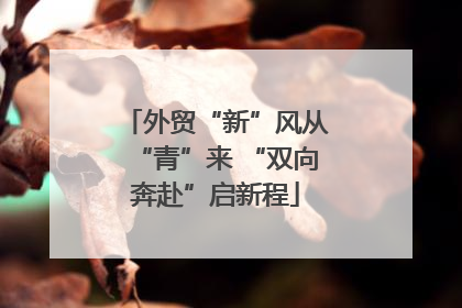 外贸“新”风从“青”来 “双向奔赴”启新程