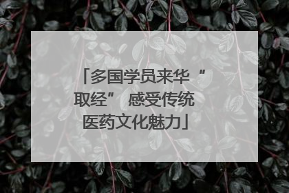 多国学员来华“取经” 感受传统医药文化魅力