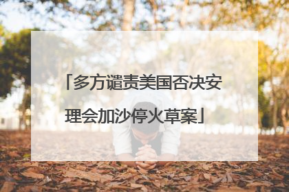 多方谴责美国否决安理会加沙停火草案